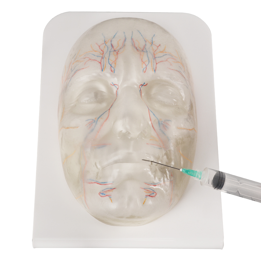 Cosmetic Training Model For Safe Facial Injection Practice