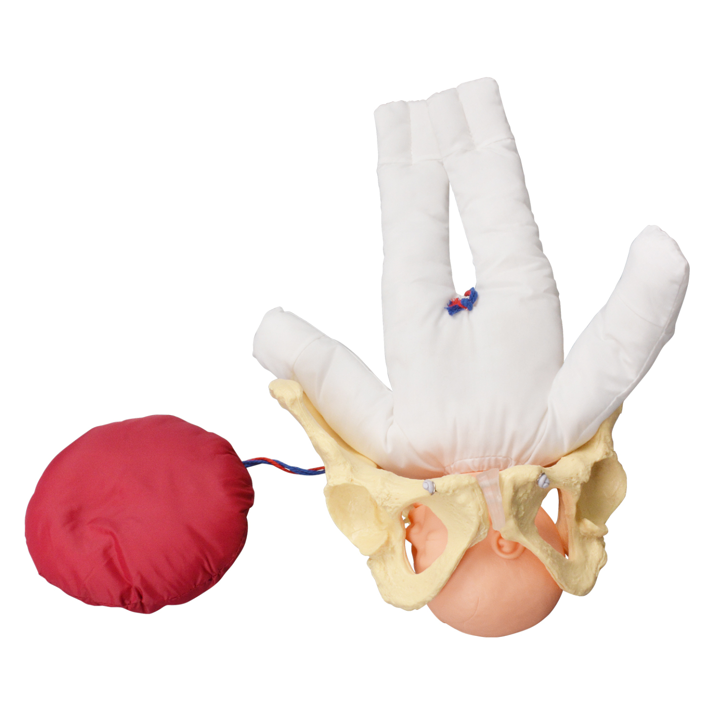 Childbirth Demonstration Set