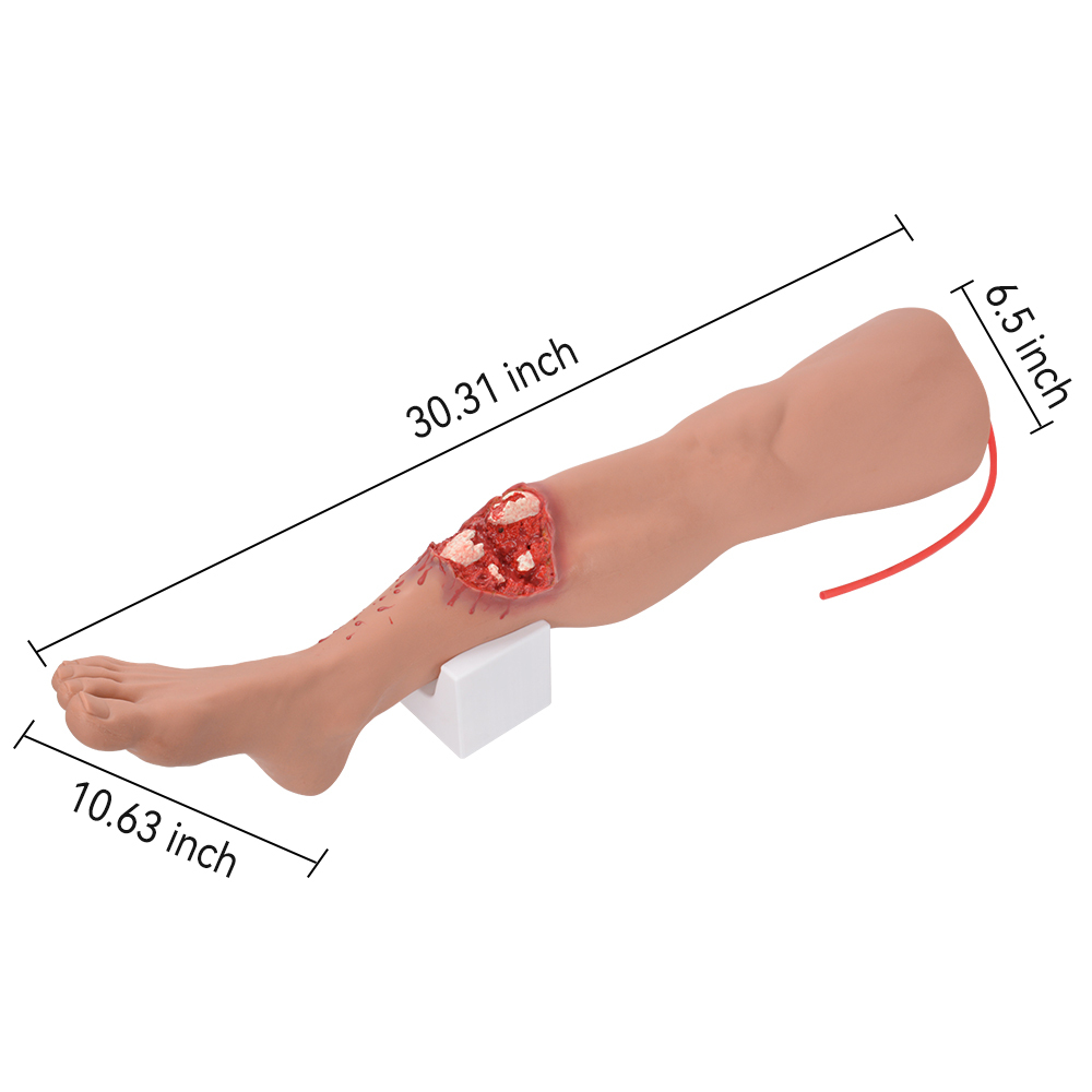 Full Leg Open Fracture Hemorrhage Control Trainer