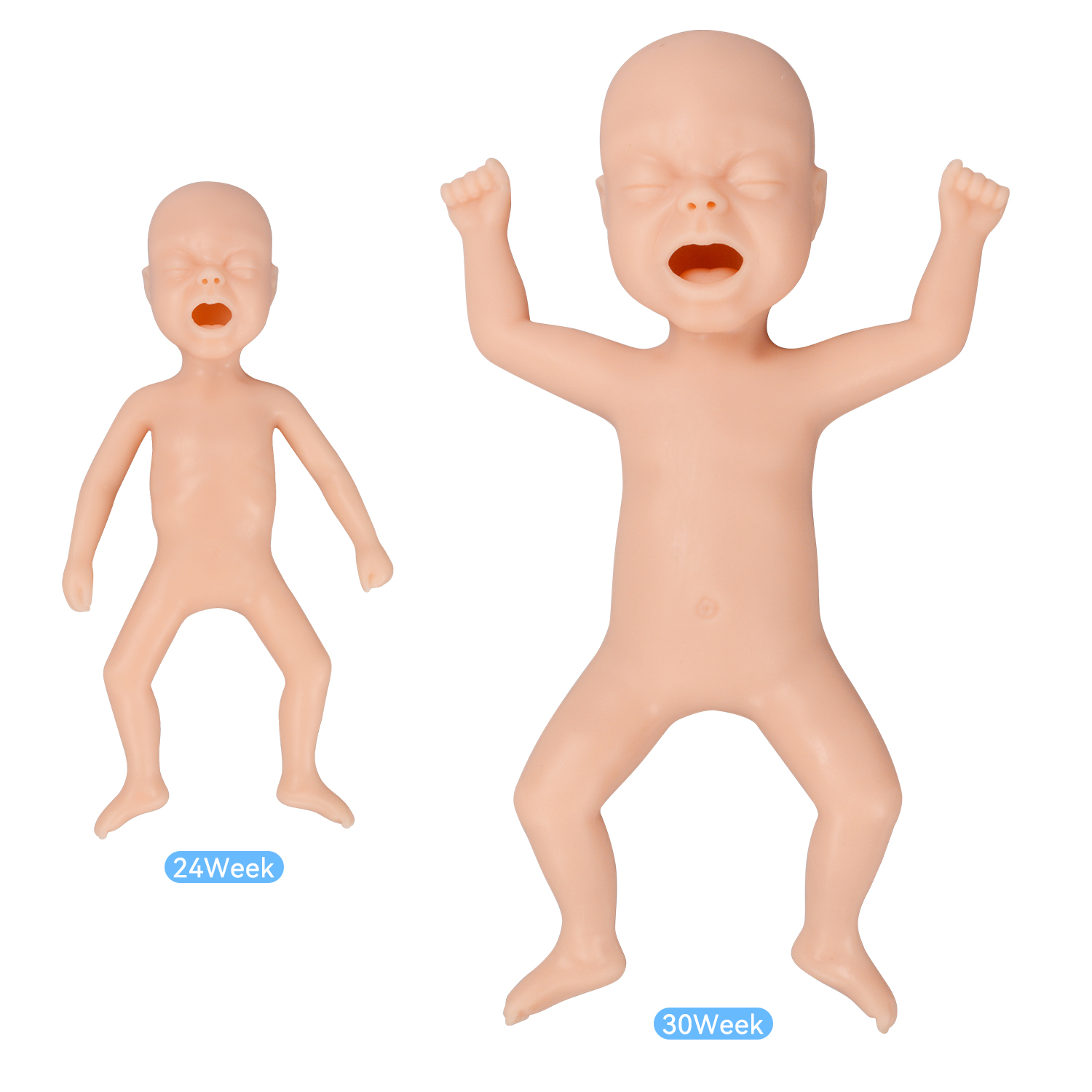 24 vs 30 Week Preterm Infant Comparison Model