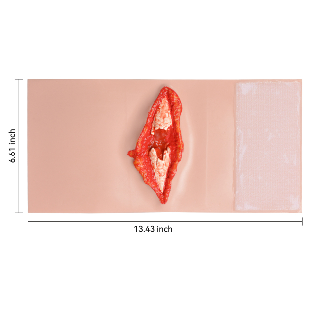 The Size Info of Wearable Arm Open Fracture Task Trainer