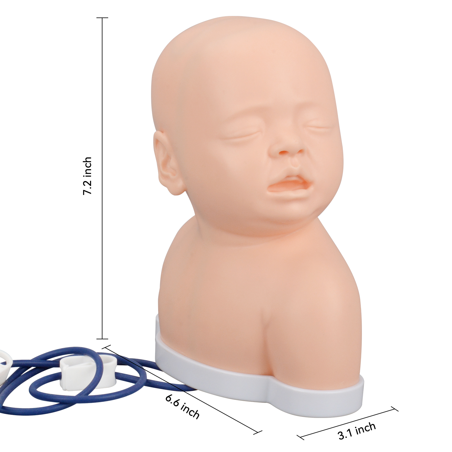 Nursing Training Pediatric IV Head Model Size Reference