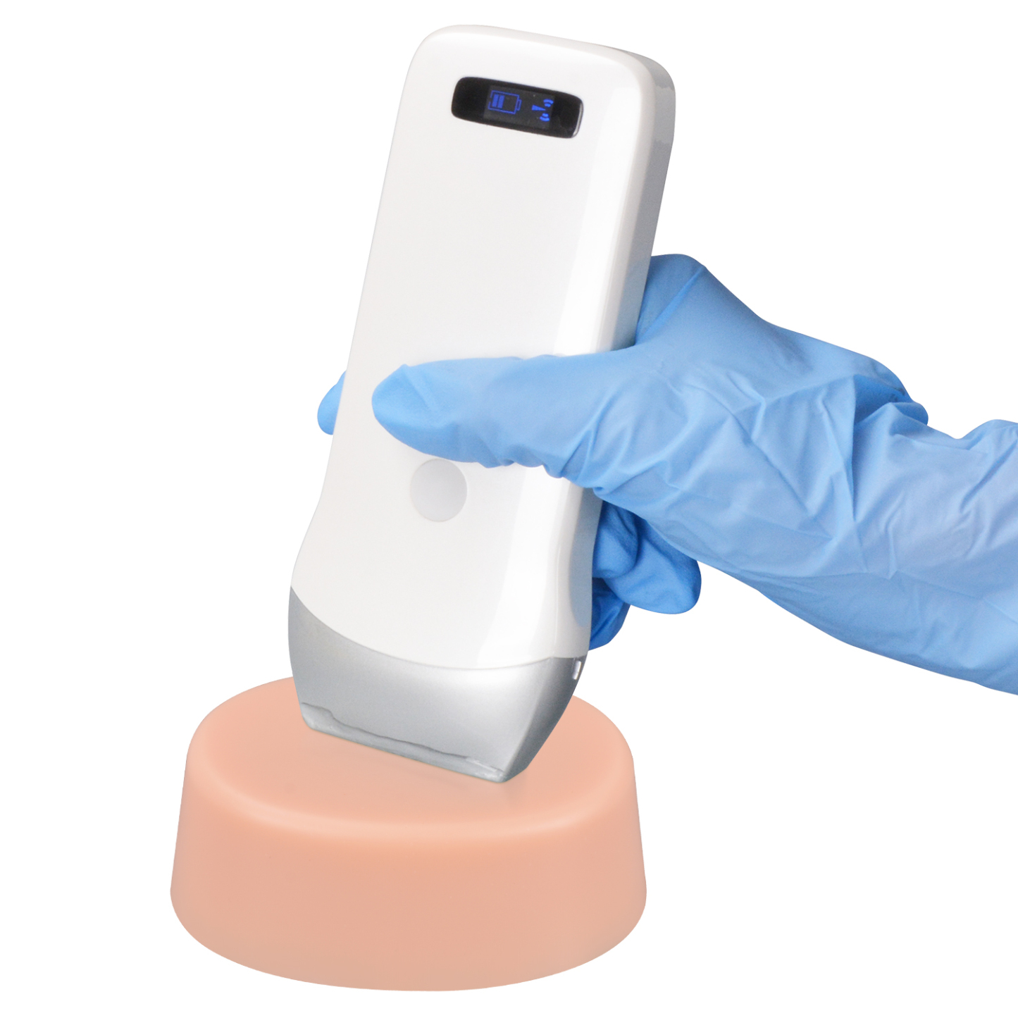 Ultrasound Guided Biopsy Phantom with Dual Lesion Simulation