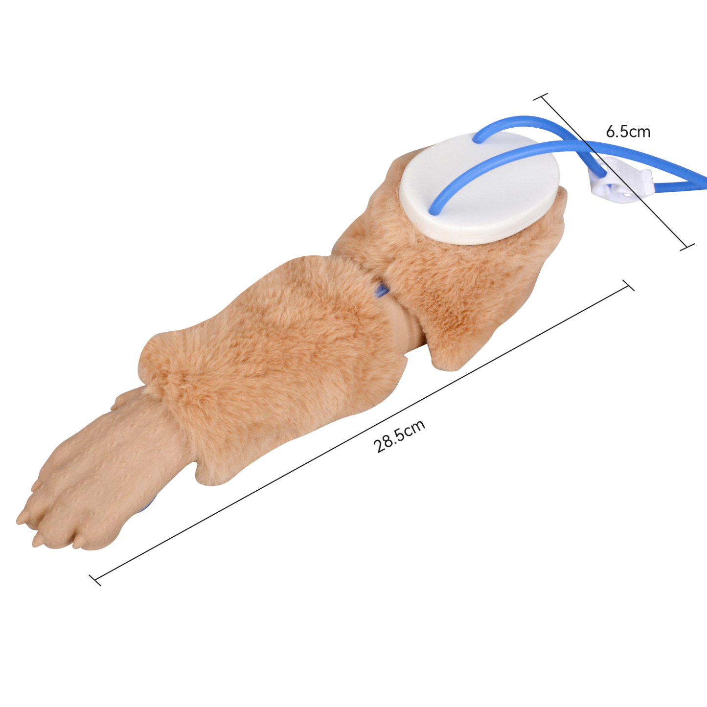 IV Dog Leg Model Size