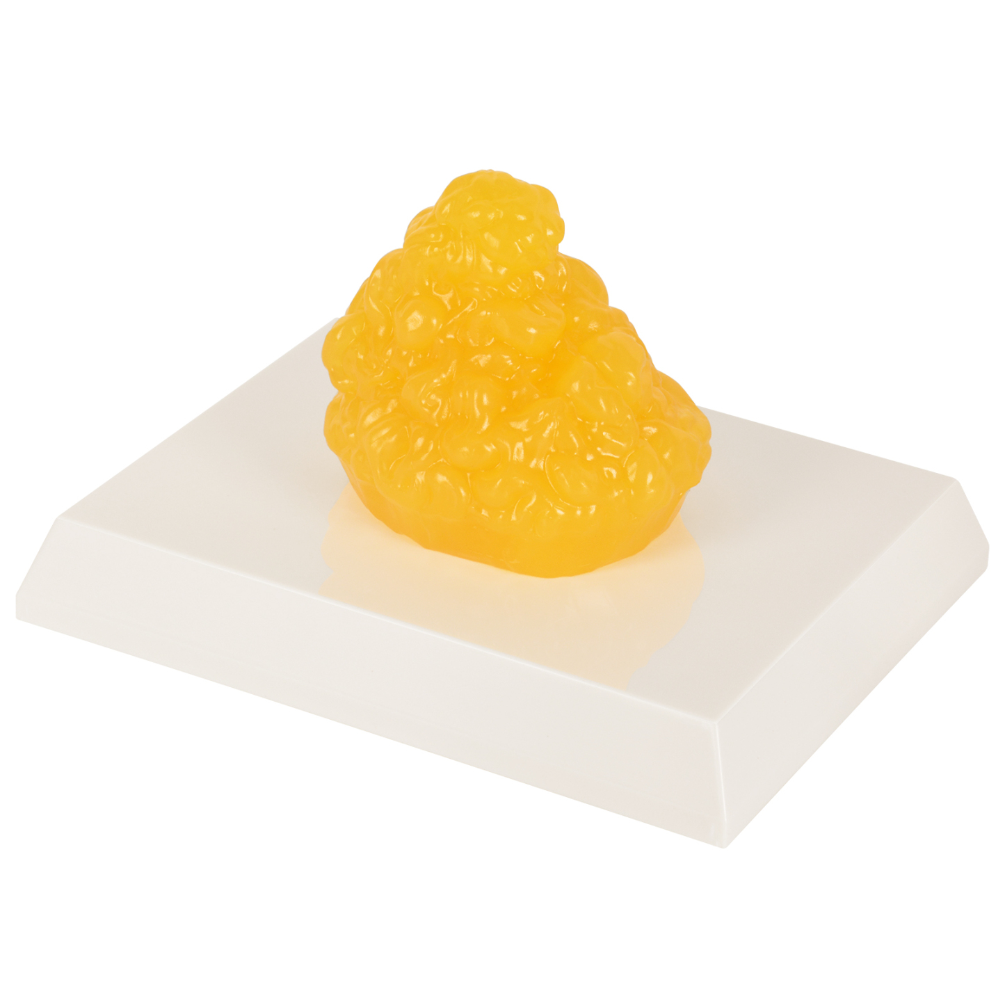 Realistic Fat Tissue Model With Soft Elastic Texture