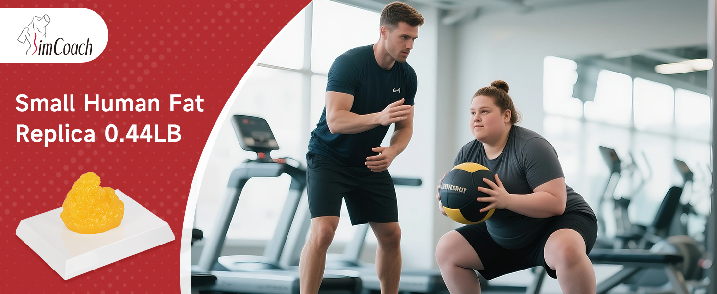 Human Fat Model, 0.44lb