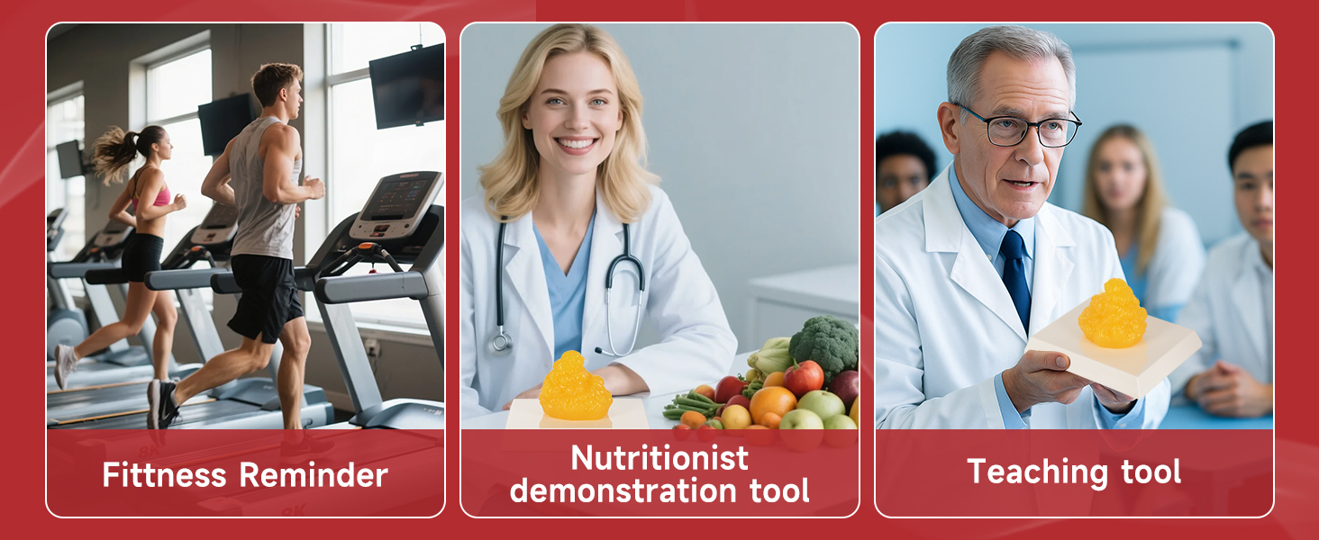 Mini Fat Replica Applications