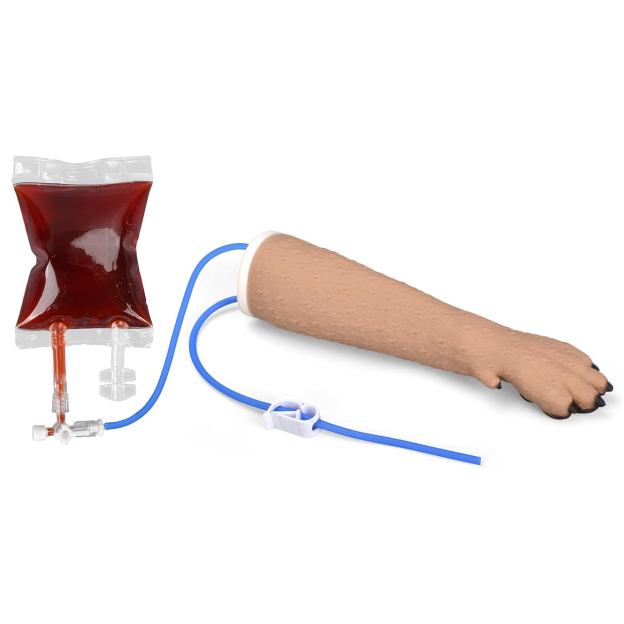 Canine IV Training Kit with Forelimb  Model