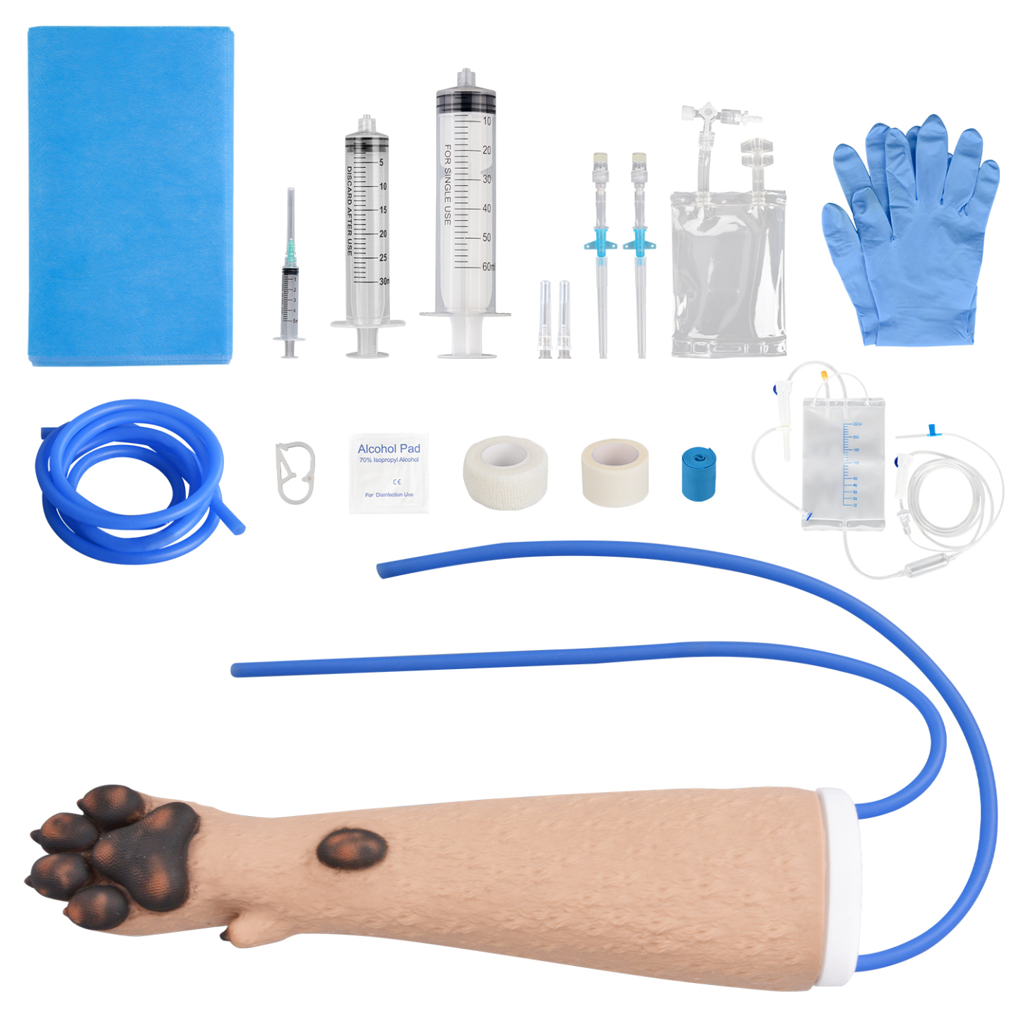 Canine IV Training Kit with Forelimb  Model