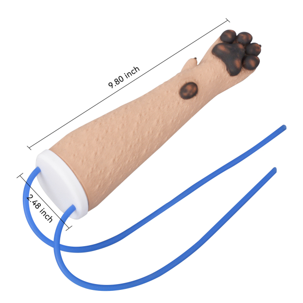 Canine IV Training Kit with Forelimb  Model