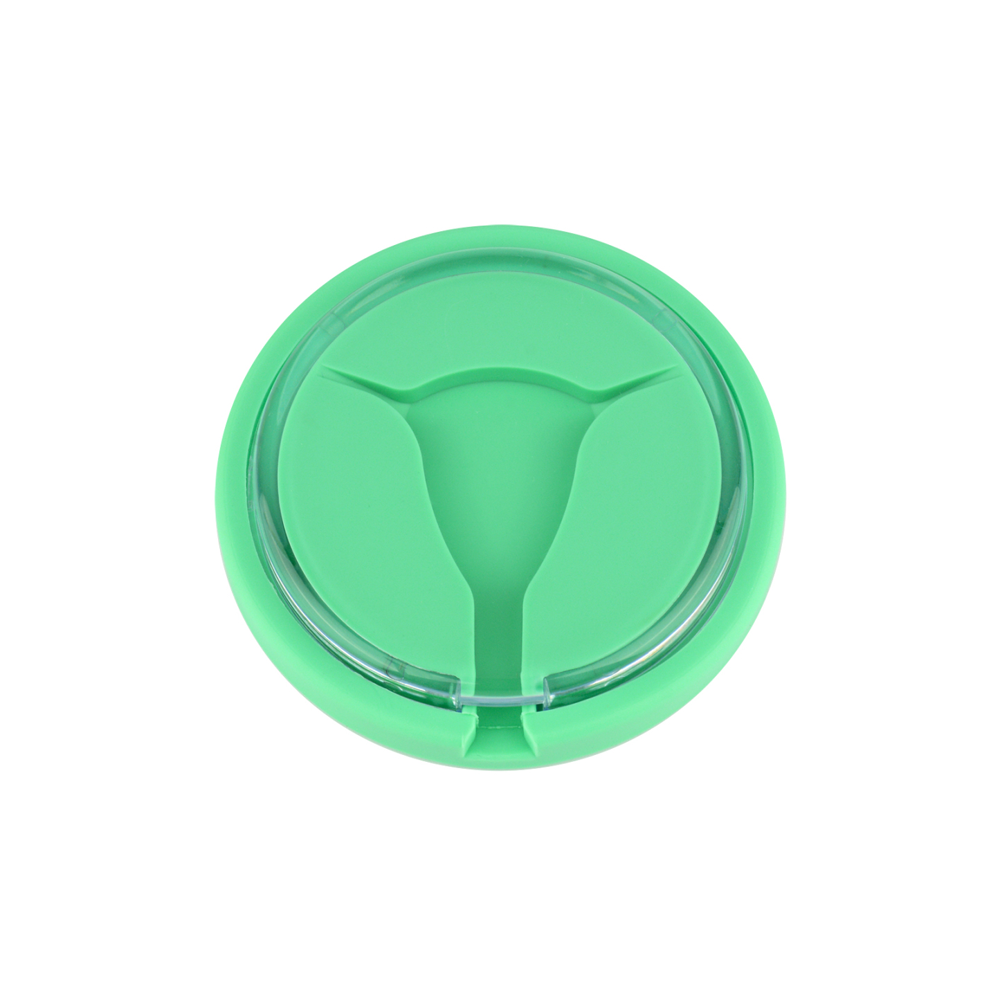 IUD Insertion & Replacement Training Module, Green/Pink/Blue/Orange Color