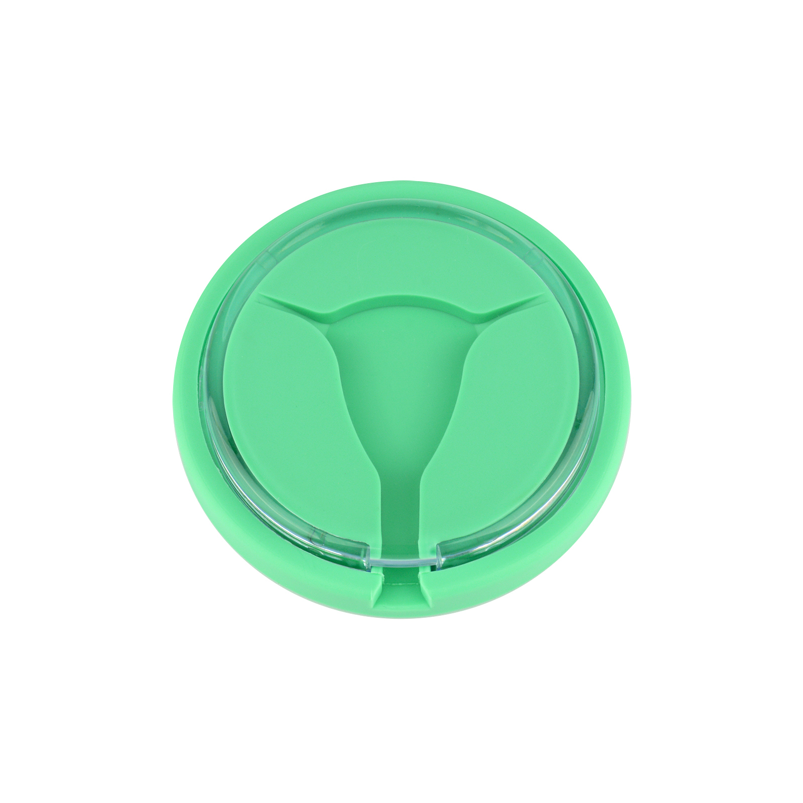 IUD Insertion & Replacement Training Module, Green/Pink/Blue/Orange Color