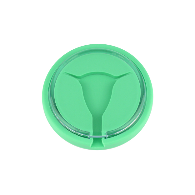 IUD Insertion & Replacement Training Module, Green/Pink/Blue/Orange Color