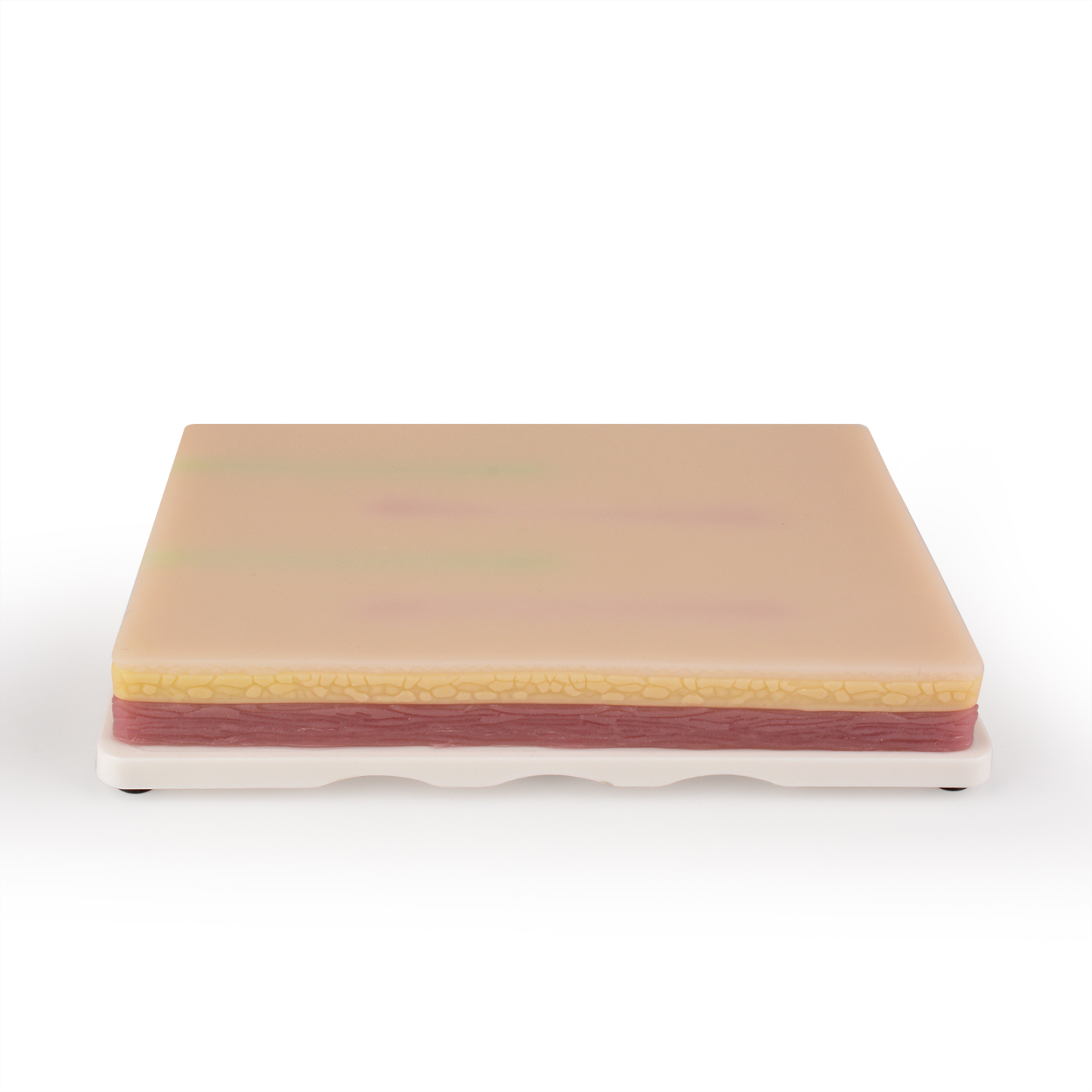 IV Injection Training Pad with 4 Veins