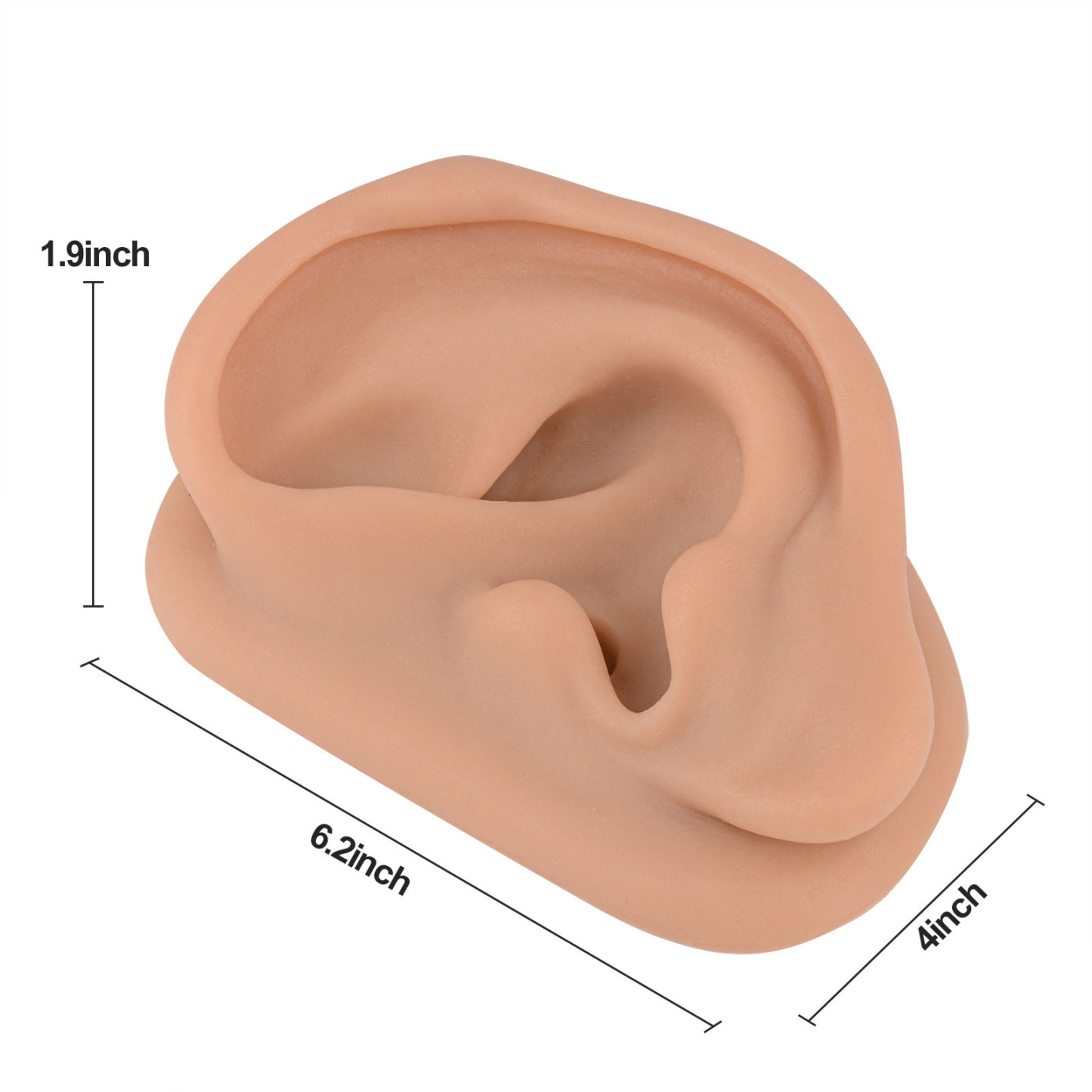 Acupuncture Ear Model, Left Artificial Ear Replica for Auricular Therapy Teaching