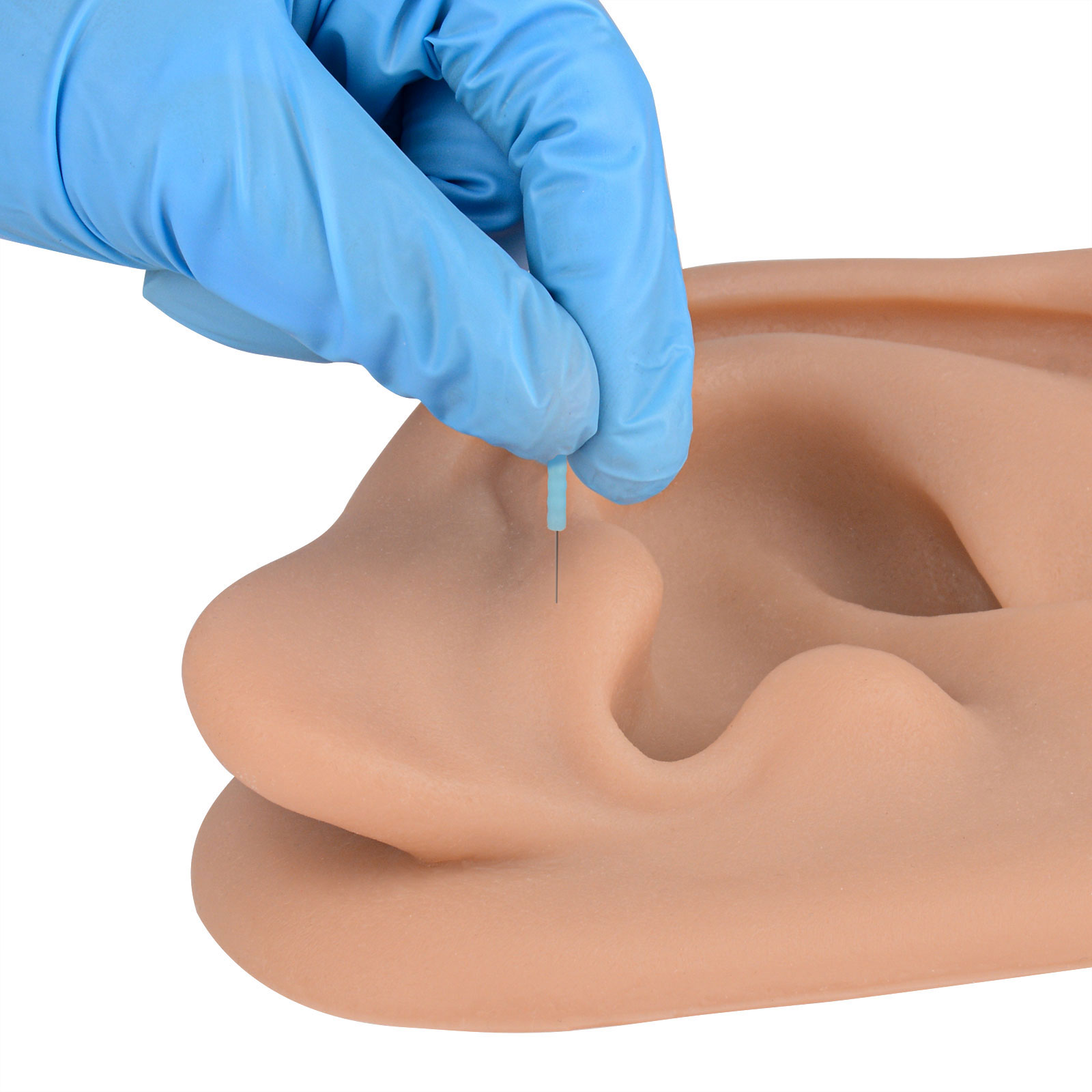 Acupuncture Ear Model, Right Artificial Ear Replica for Auricular Therapy Teaching