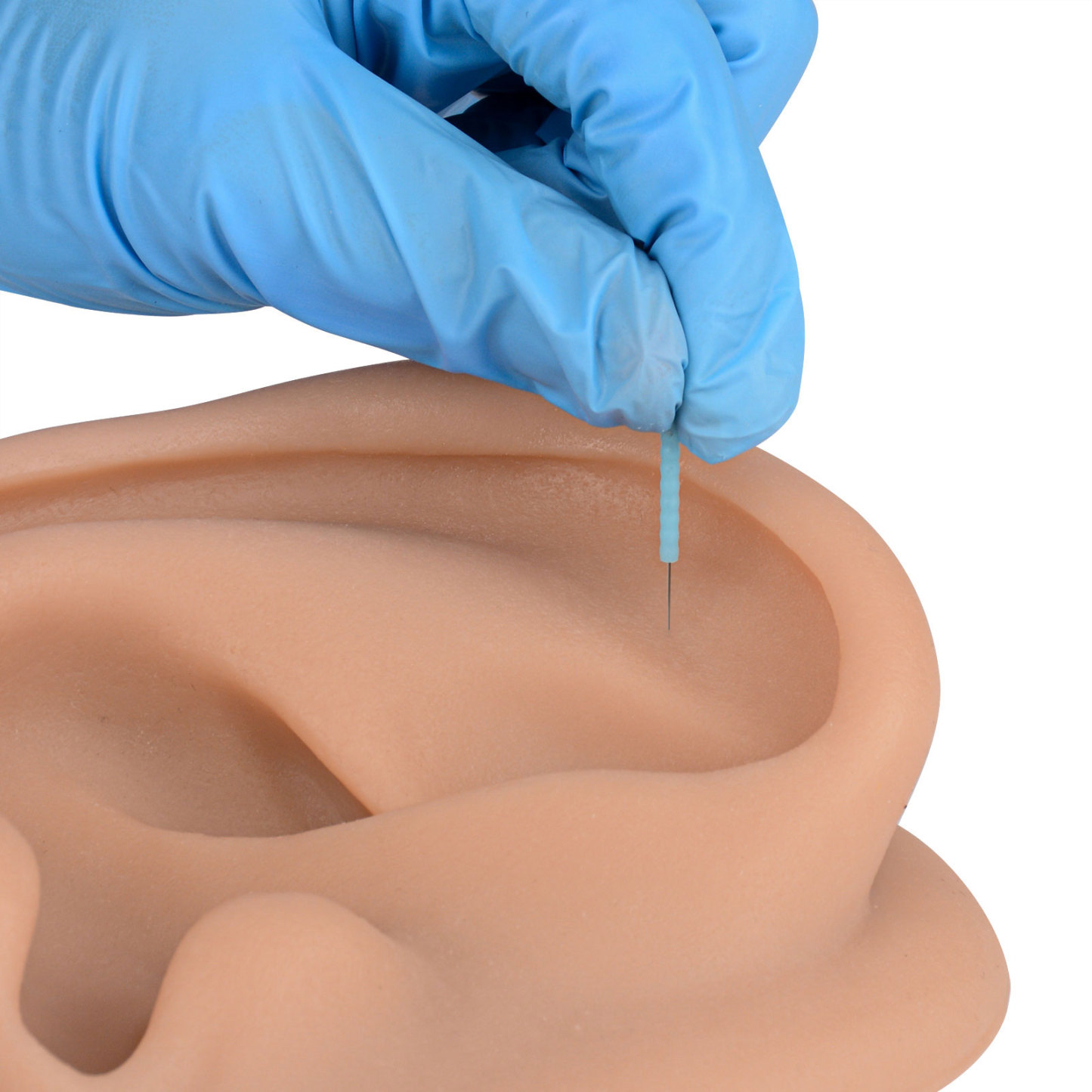 Acupuncture Ear Model, Right Artificial Ear Replica for Auricular Therapy Teaching