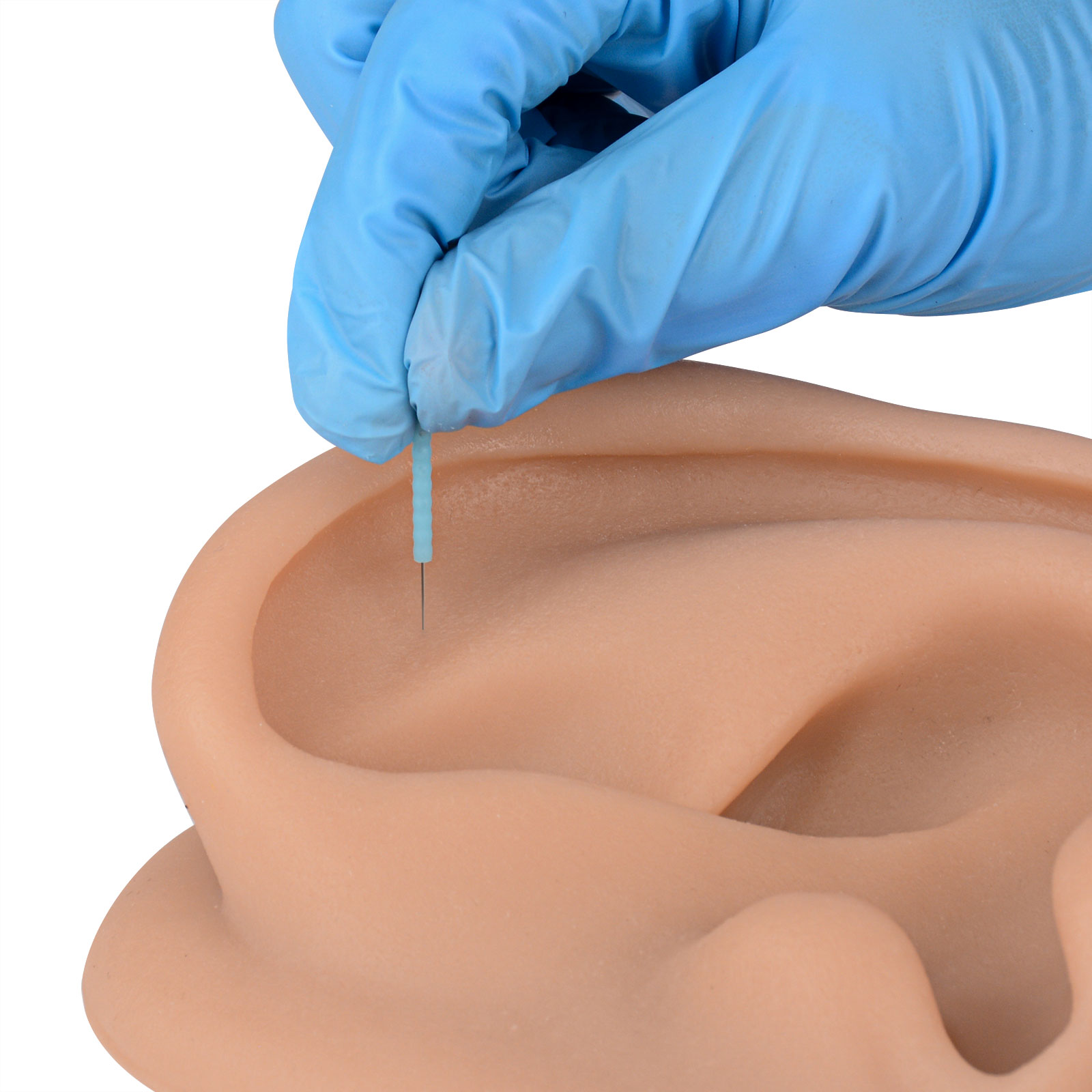 Acupuncture Ear Model, Left Artificial Ear Replica for Auricular Therapy Teaching