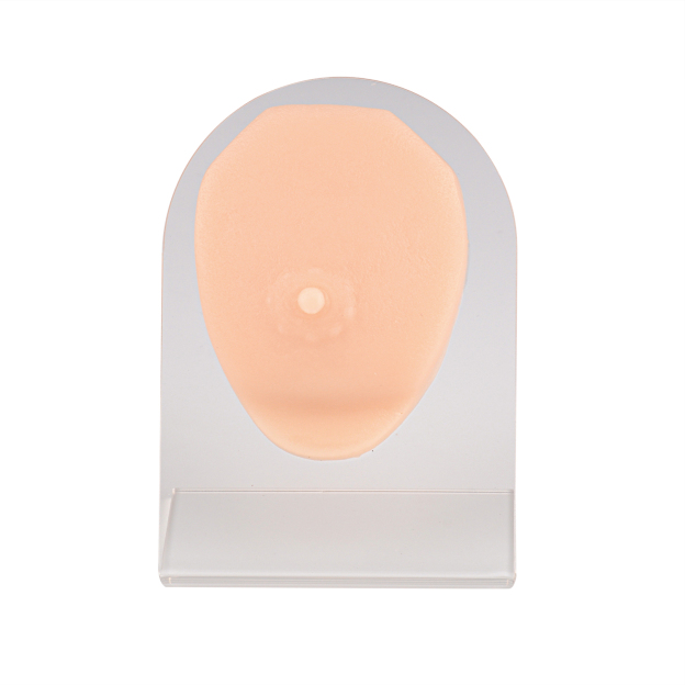 Male Nipple Silicone Piercing Practice Model