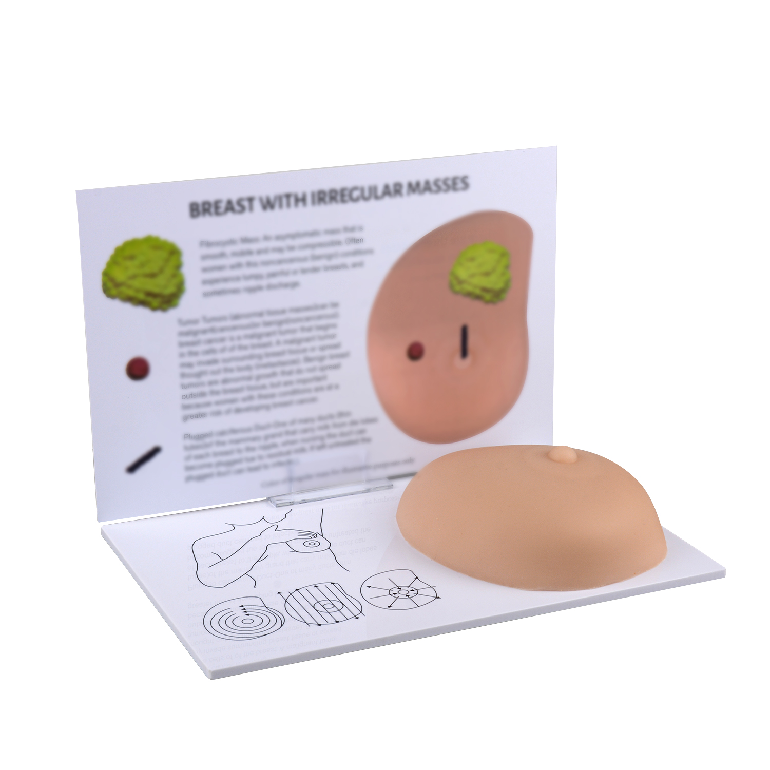 Basic Breast Self Exam (BSE) Training Model