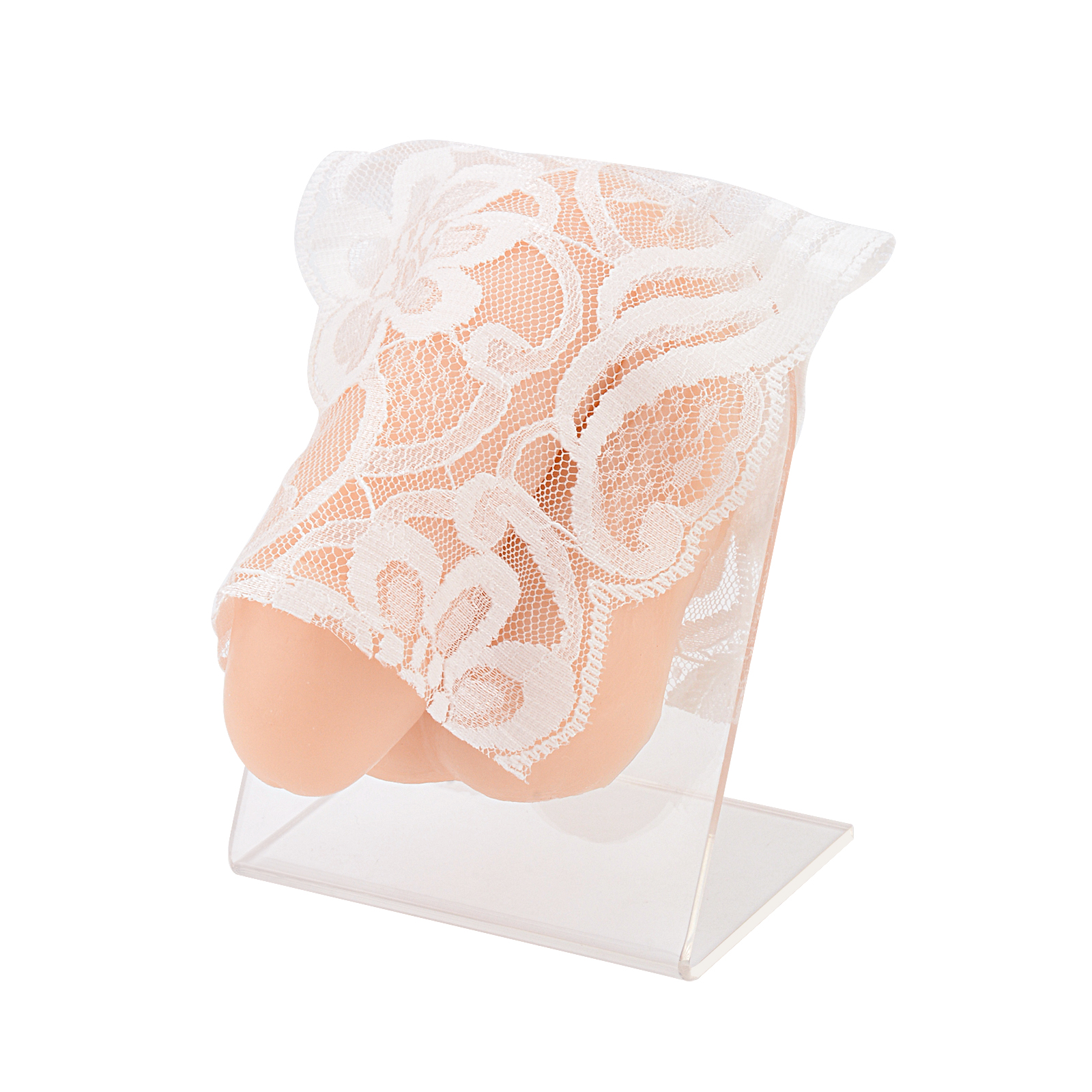 Male Genital Piercing Model for Piercing Practice & Display Body Jewelry