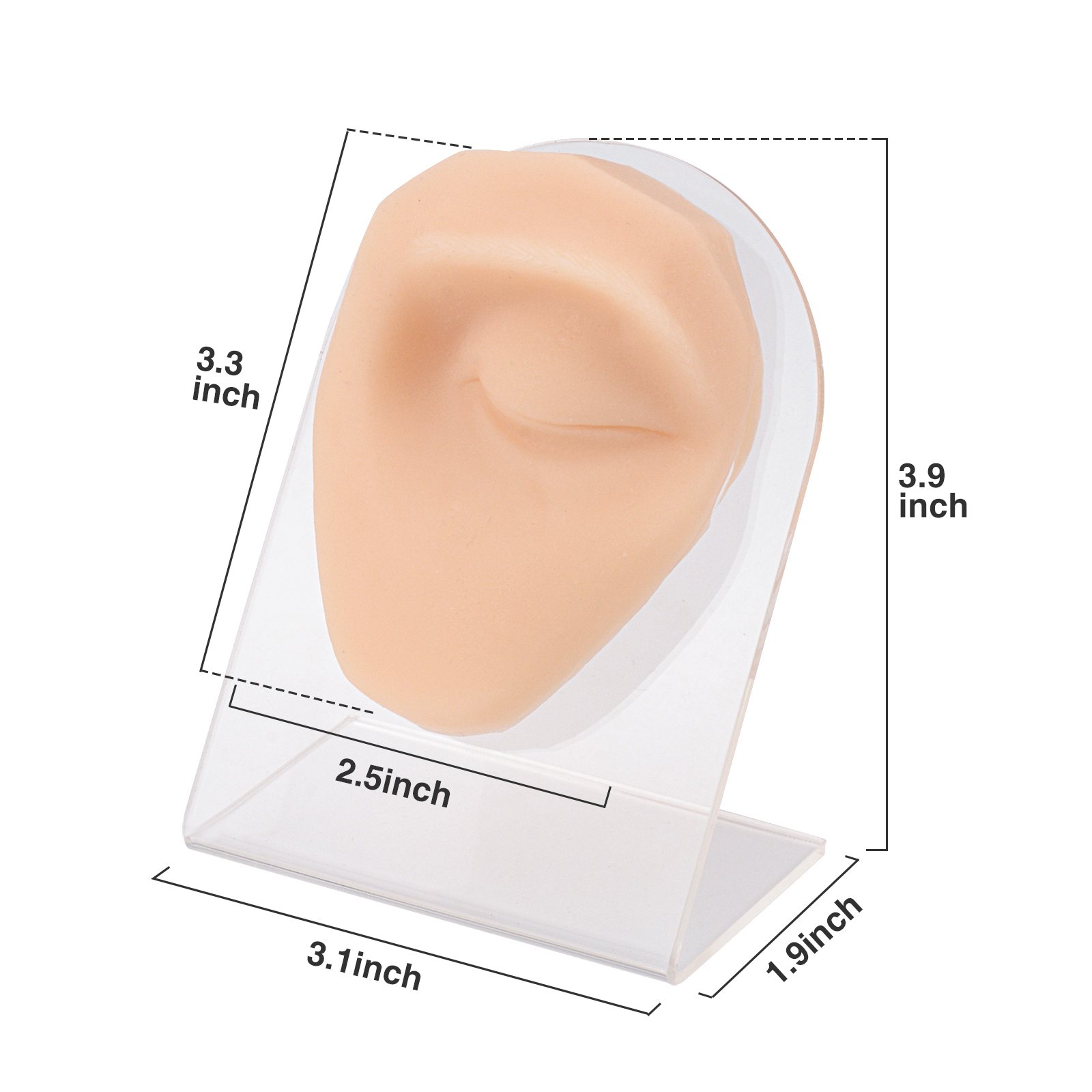 Silicone Eye Piercing Model, Left & Right