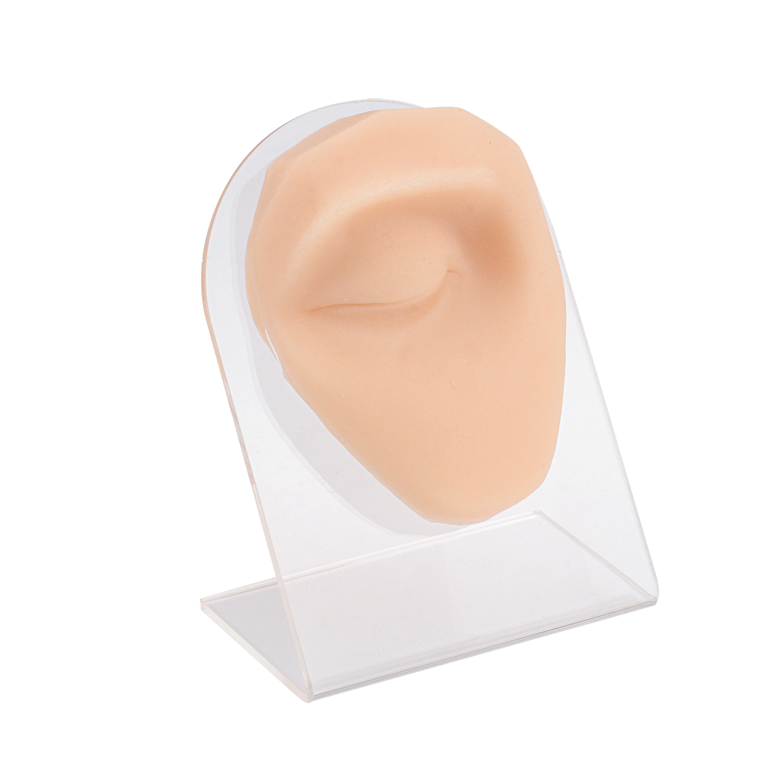 SimCoach Eyebrow Piercing Practice Model (Left) with Stand, Piercing Practice Body Parts