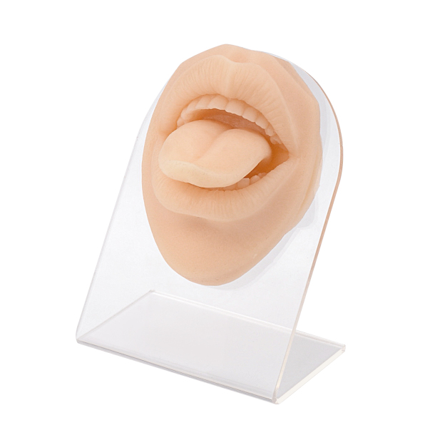 Tongue Piercing Silicone Model