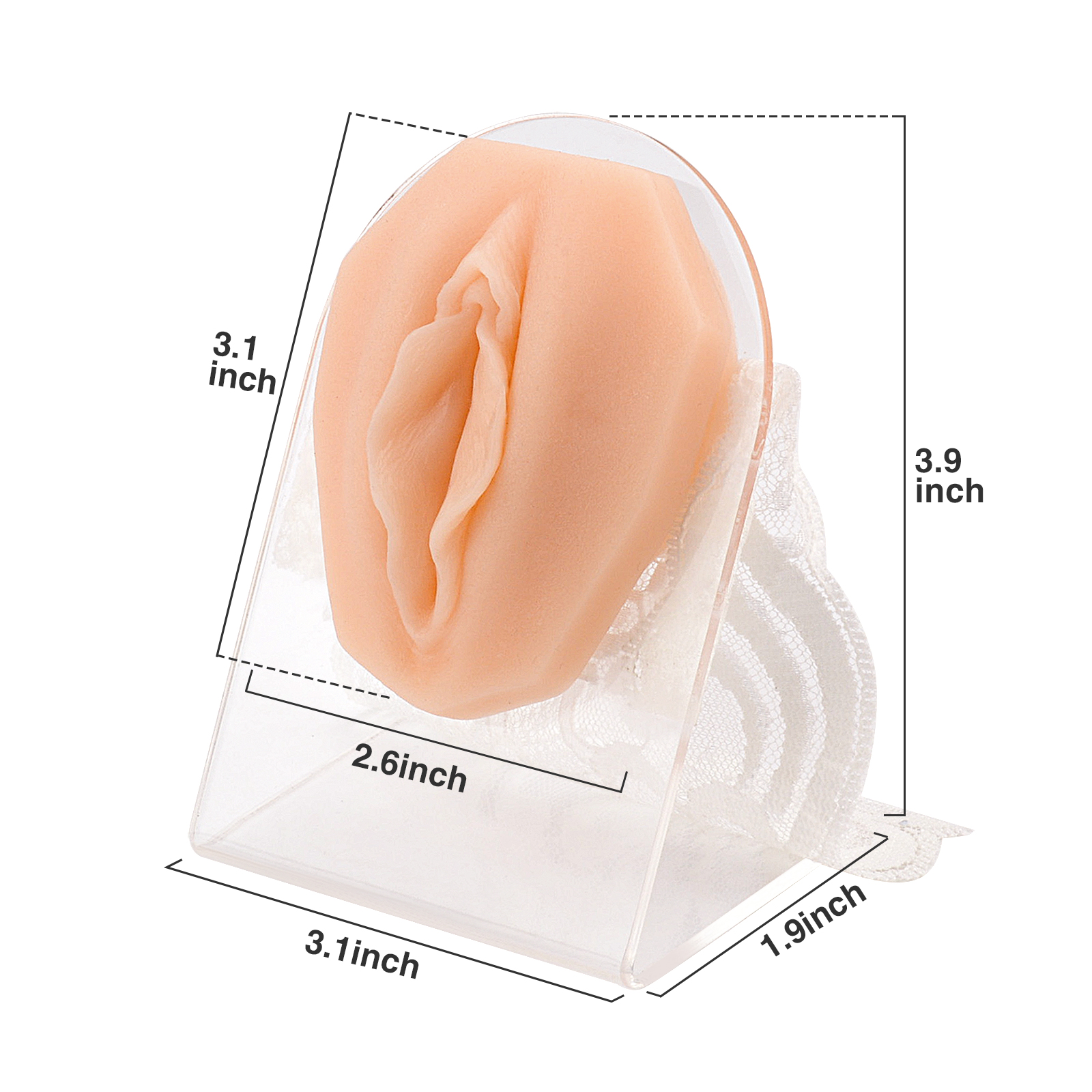 Female Genital Body Piercing Display Model