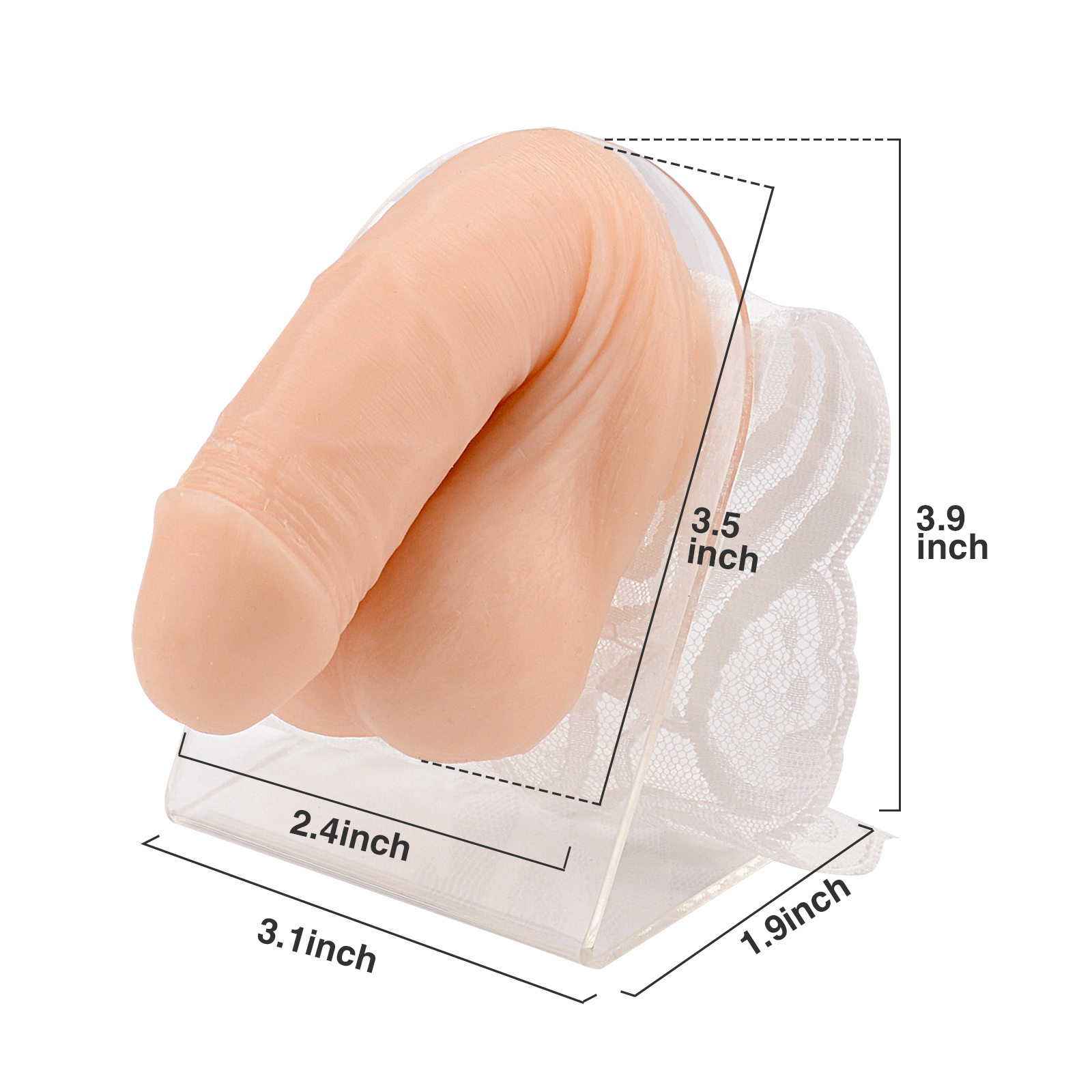 Male Genital Piercing Model for Piercing Practice & Display Body Jewelry