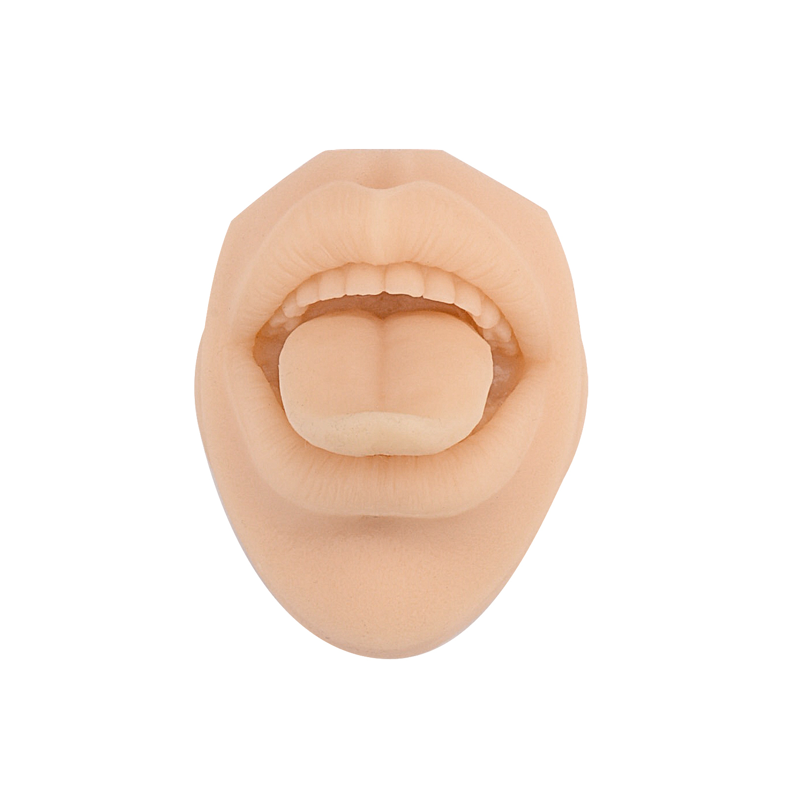 Tongue Piercing Silicone Model