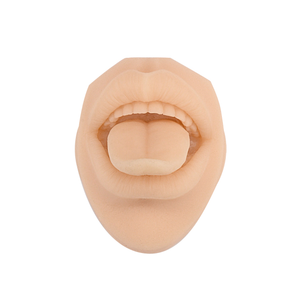 Tongue Piercing Silicone Model