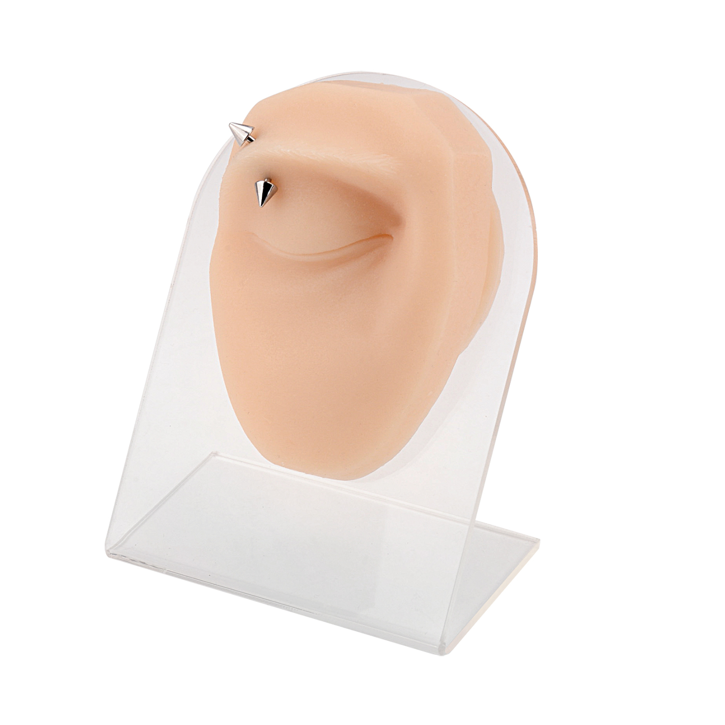 SimCoach Eyebrow Piercing Practice Model (Left) with Stand, Piercing Practice Body Parts