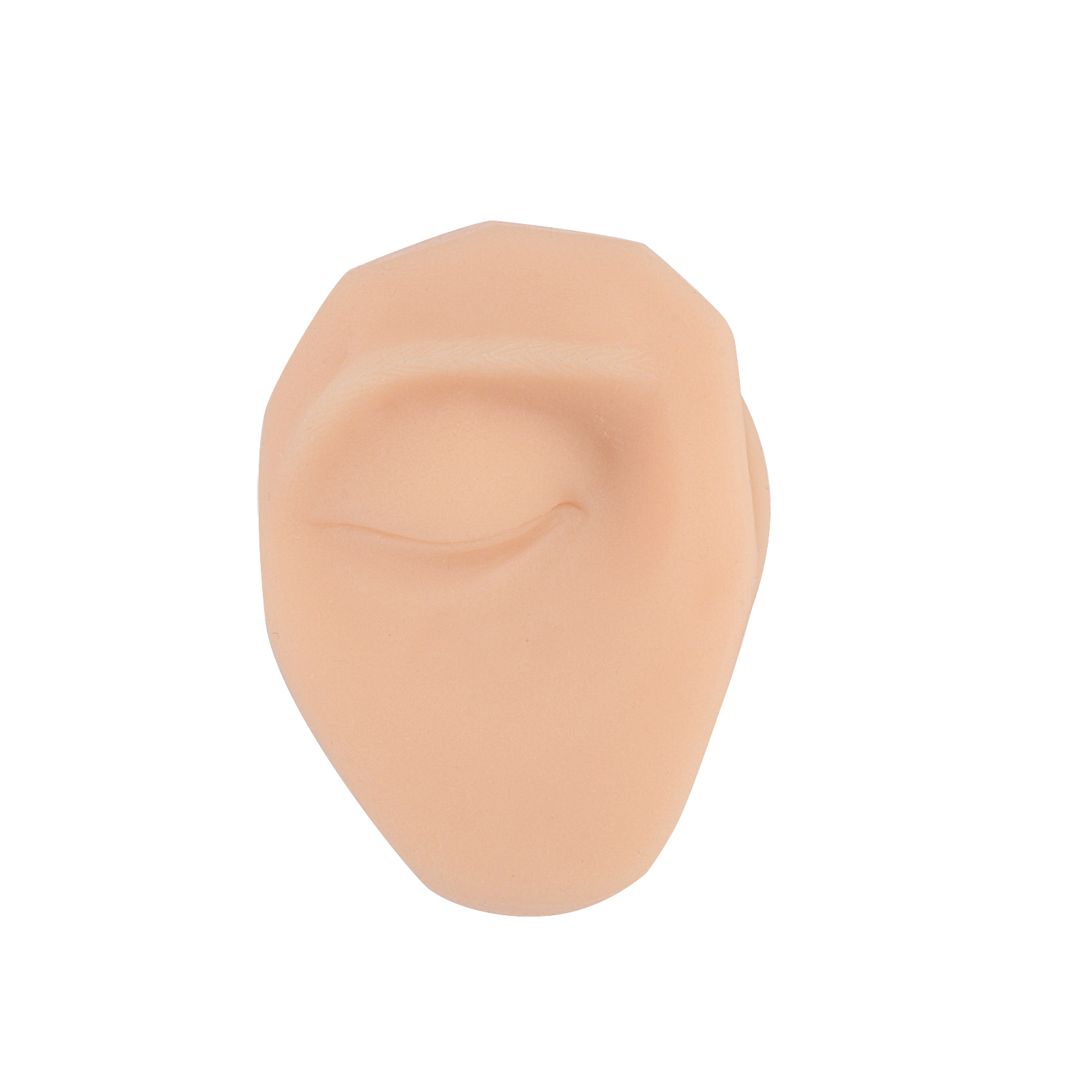 SimCoach Eyebrow Piercing Practice Model (Left) with Stand, Piercing Practice Body Parts