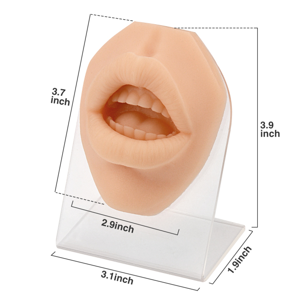 Soft Silicone Lip Ring Piercing Model