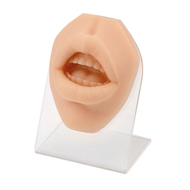 Soft Silicone Lip Ring Piercing Model