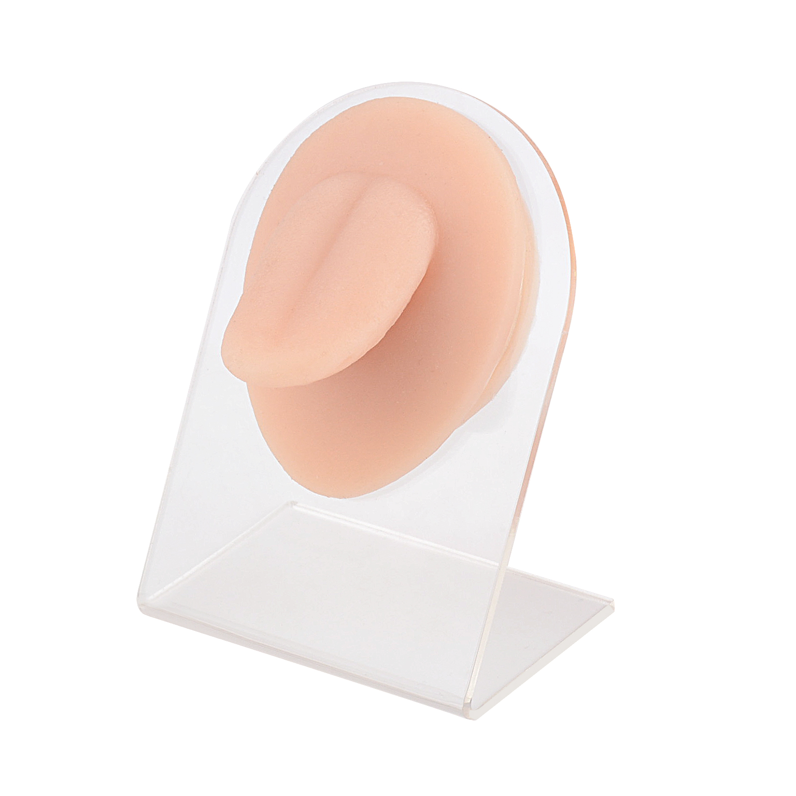 Silicone Tongue Ring Piercing Model