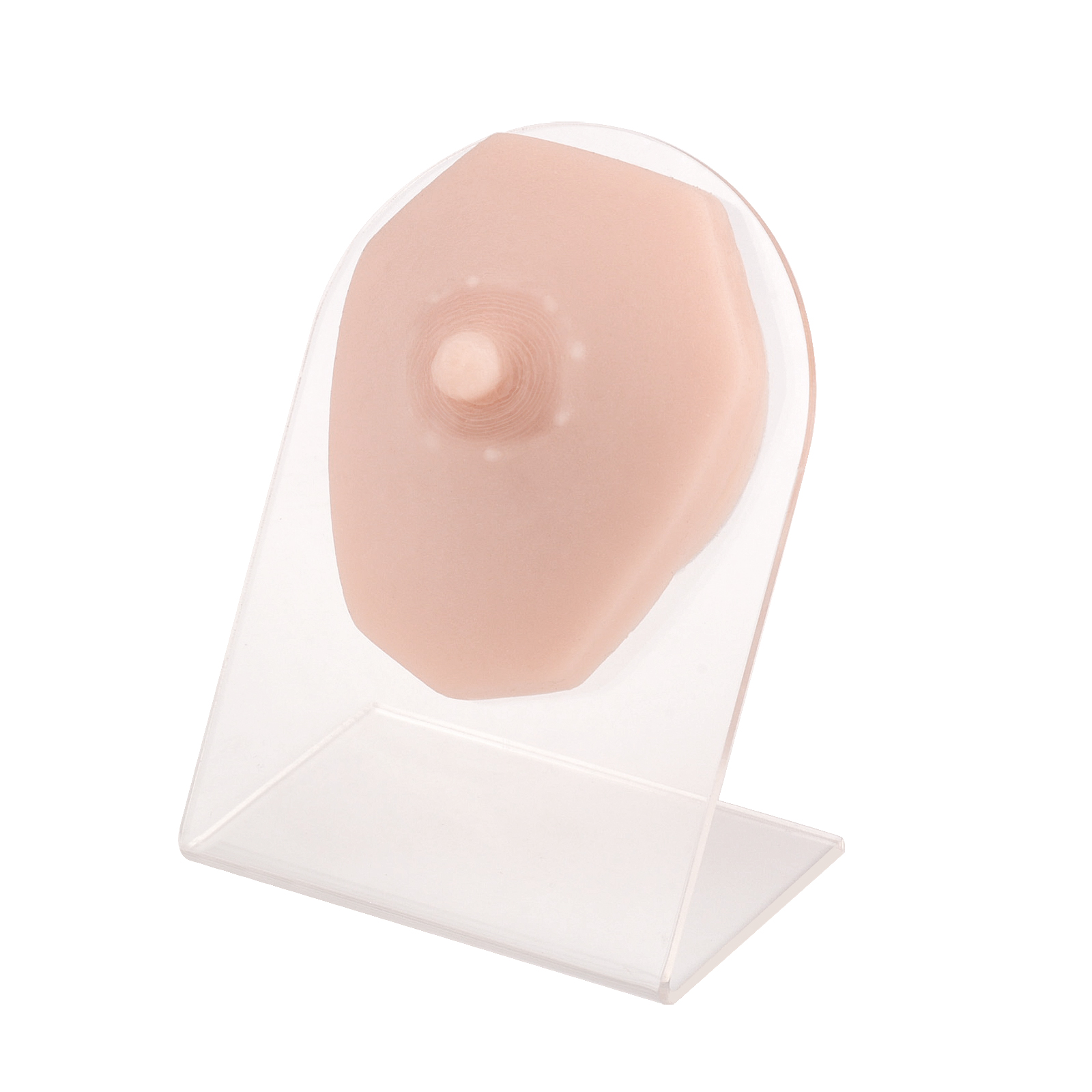 Silicone Female Nipple Model for Piercing Practice