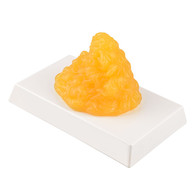 Mound Shape 1 LB Human Fat Model