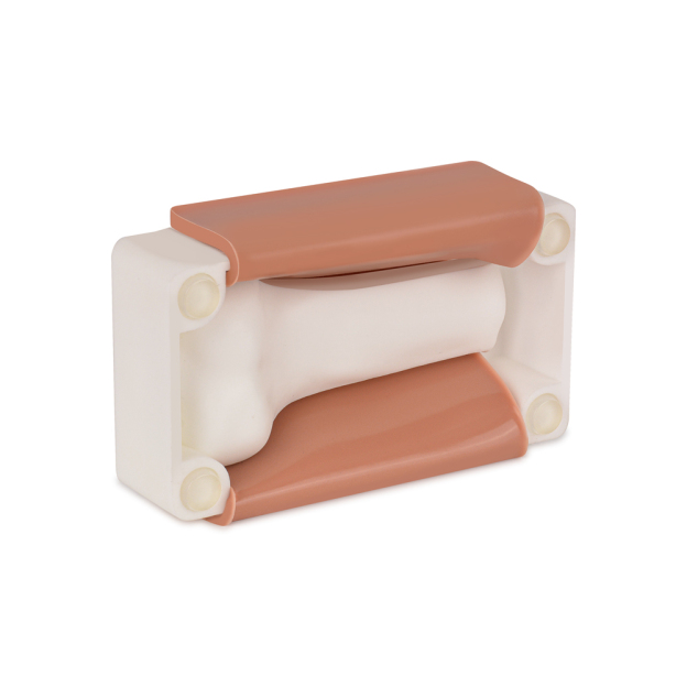 IO Proximal Tibia Training Model