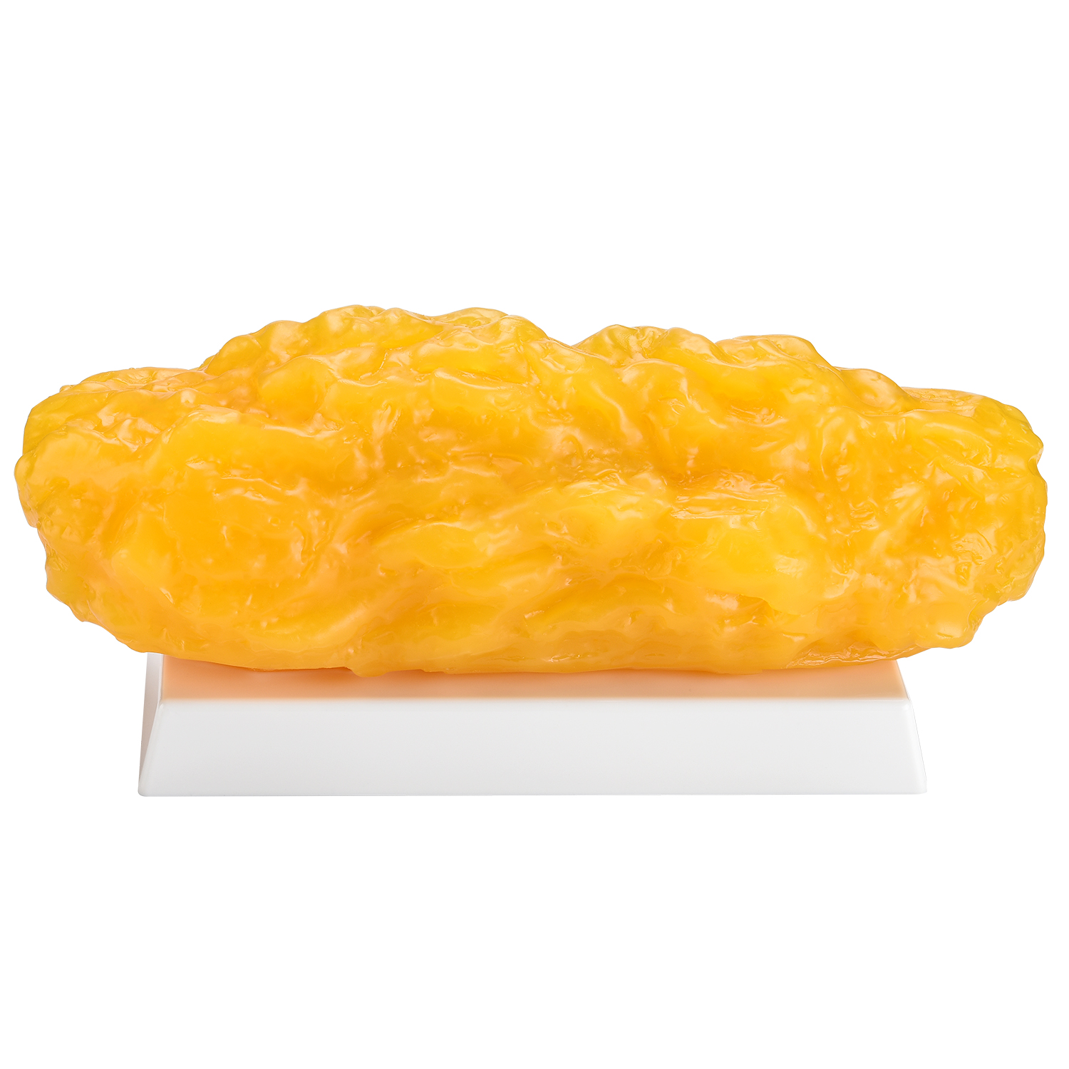 Authentic 5 Pounds Fat Replica For Education