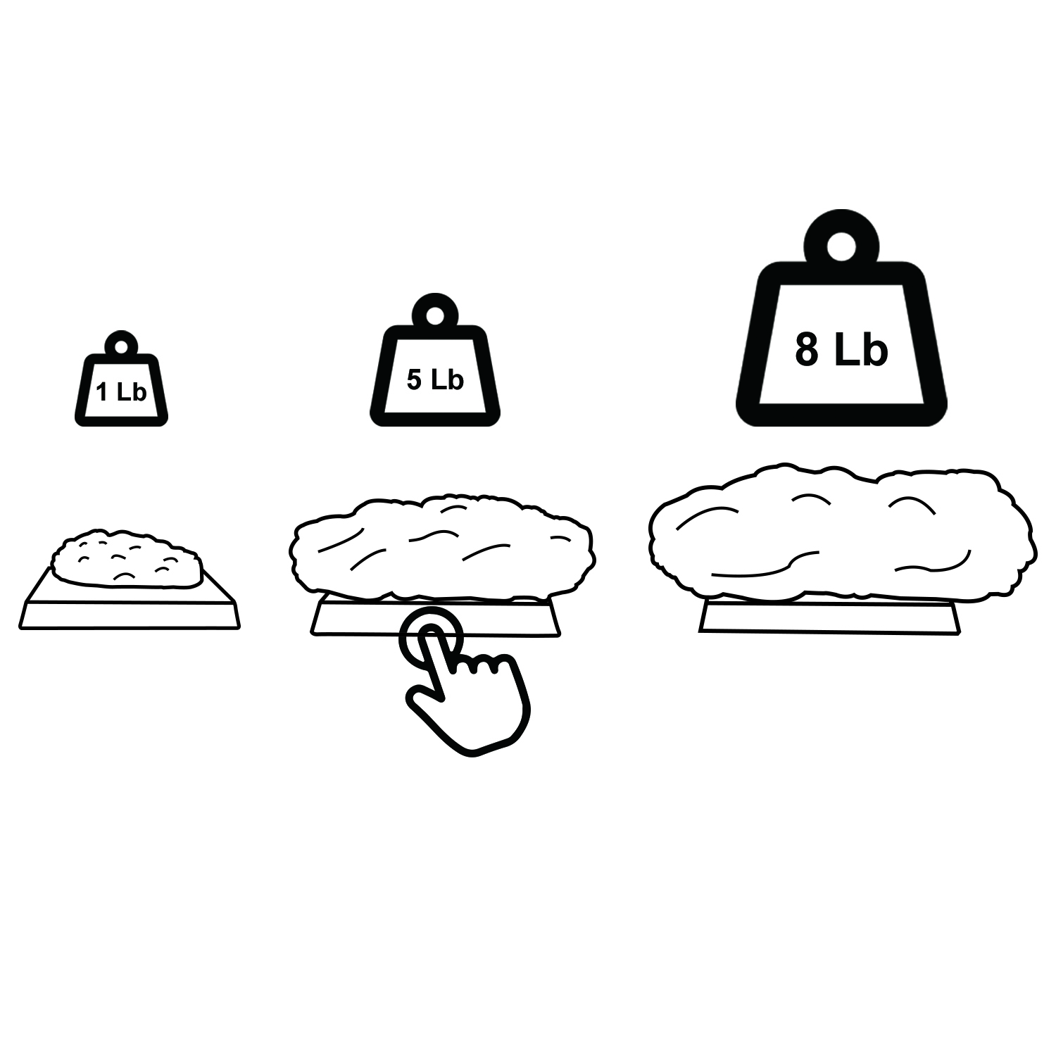 Authentic 5 lb Fat Model 