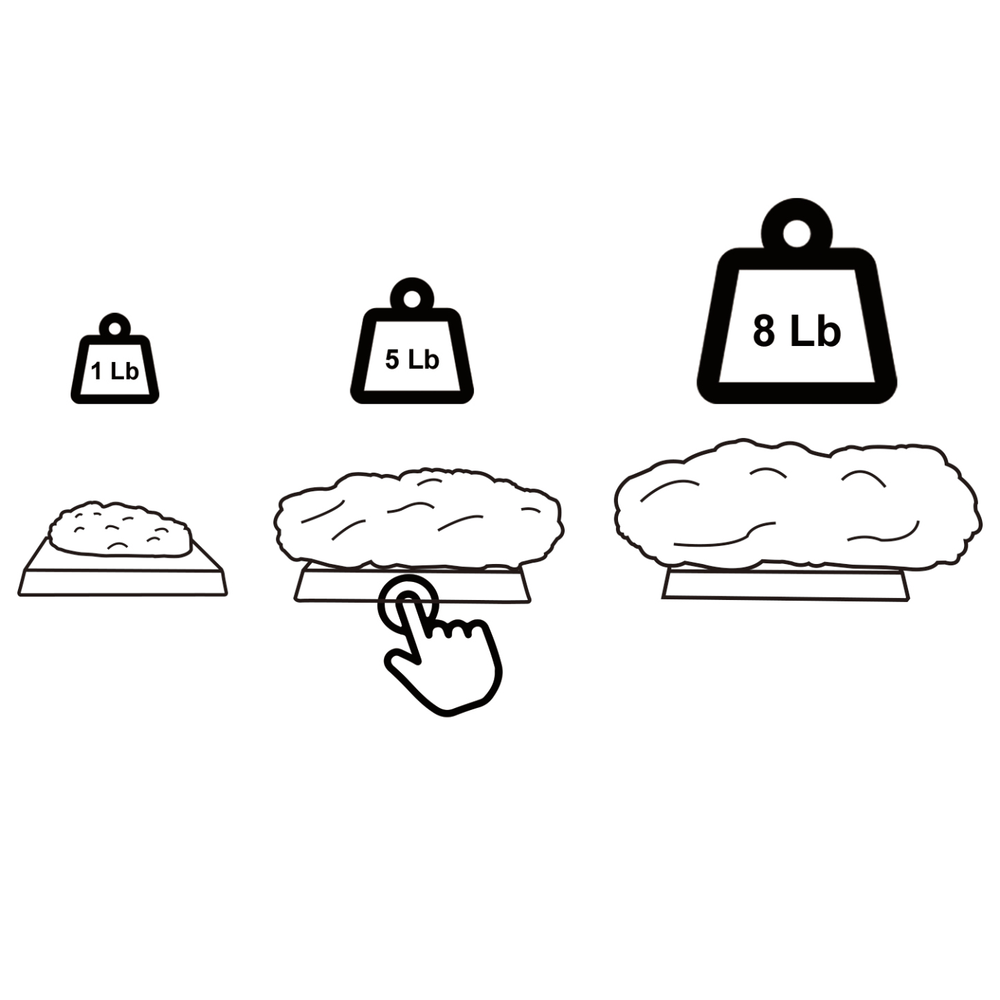 Authentic 5 lb Fat Model 