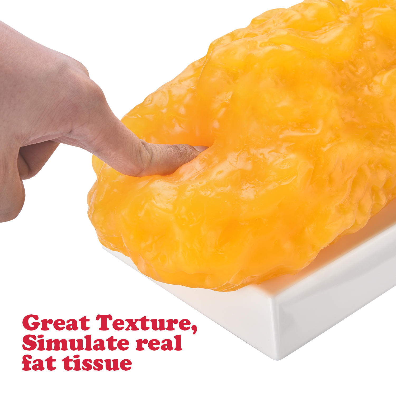 Realistic Human Fat Model For Weight Loss