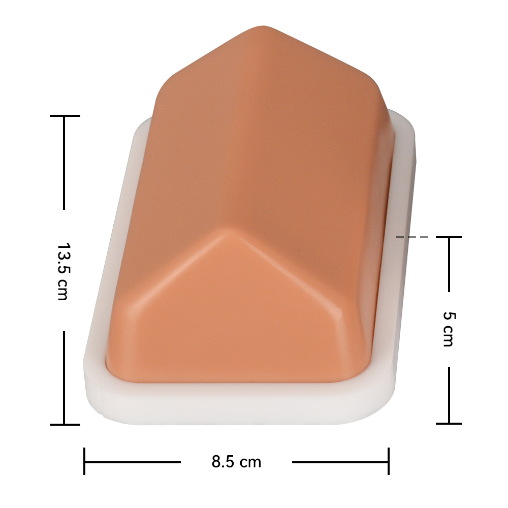 The Size of Intraosseous Injection Training Model 