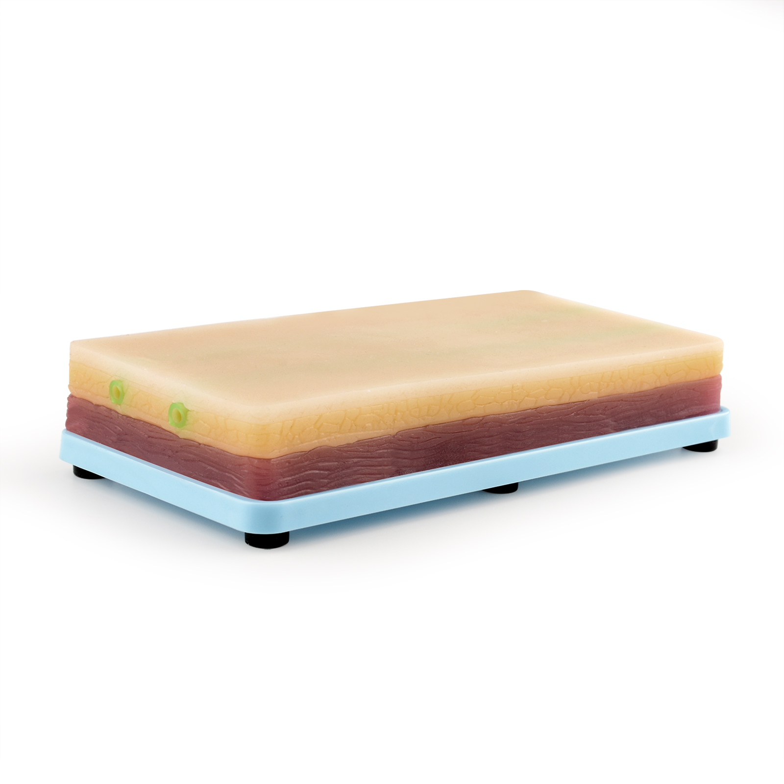 Pocket IV Practice Pad For Nursing Students