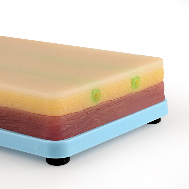 Realistic Venipuncture Training Pad With Skin Layers