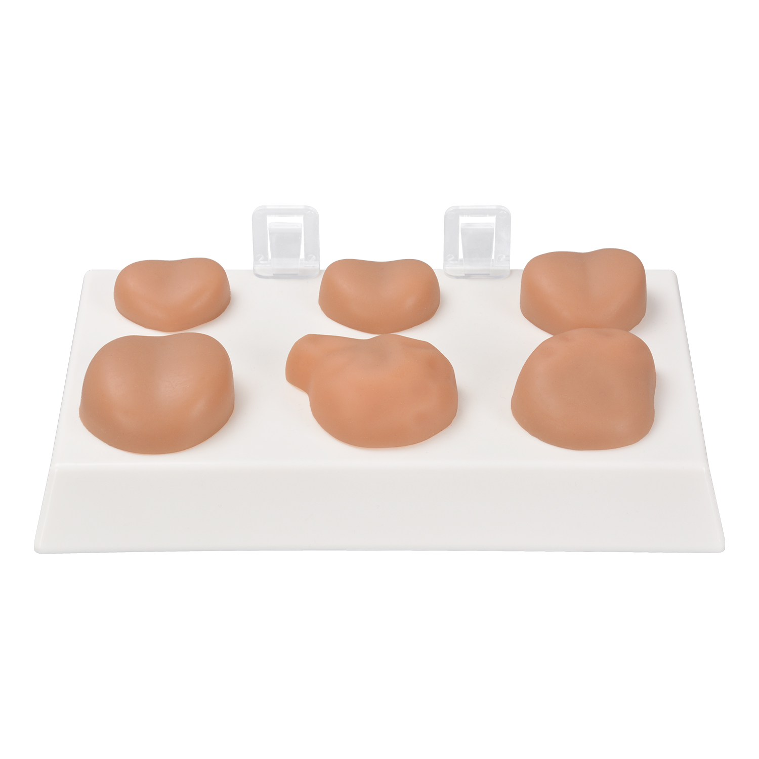 Digital Rectal Examination Model For Medical Training