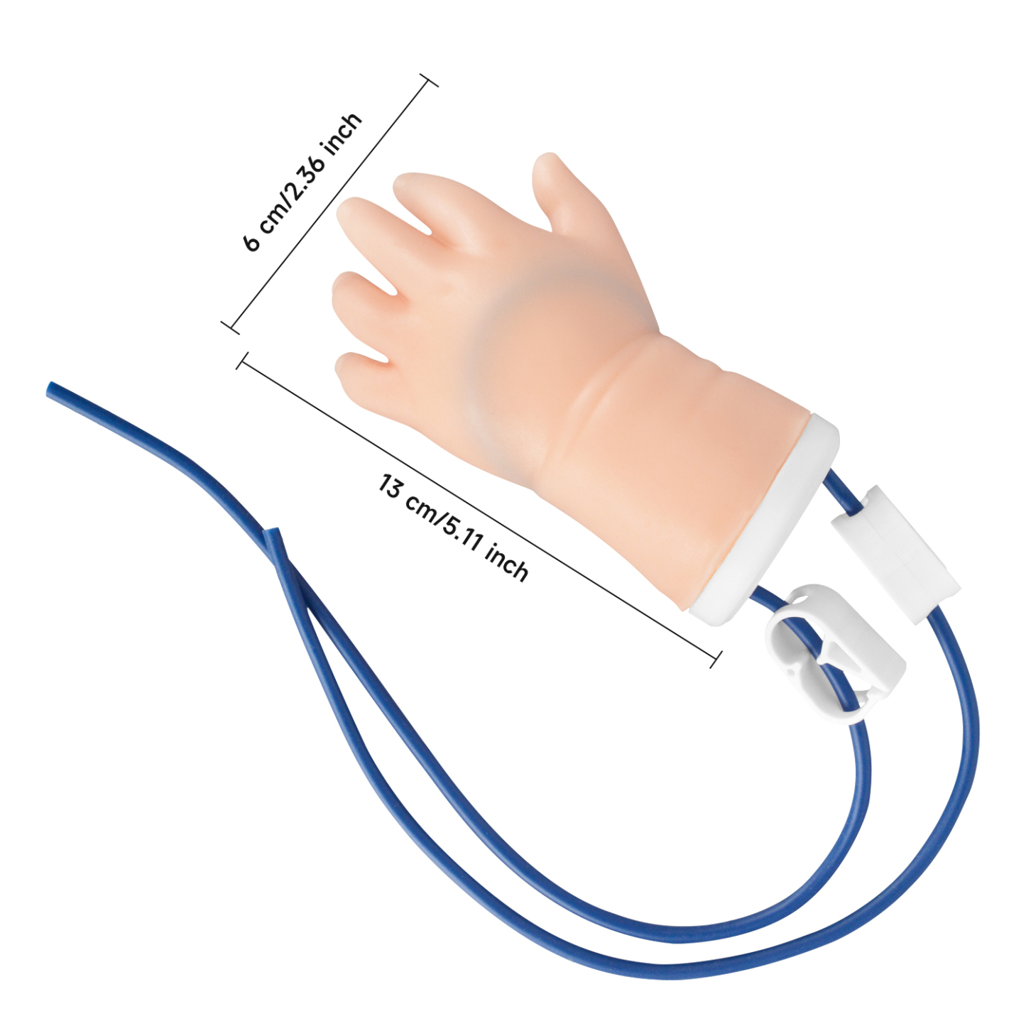 The Size Info of Infant Hand Model