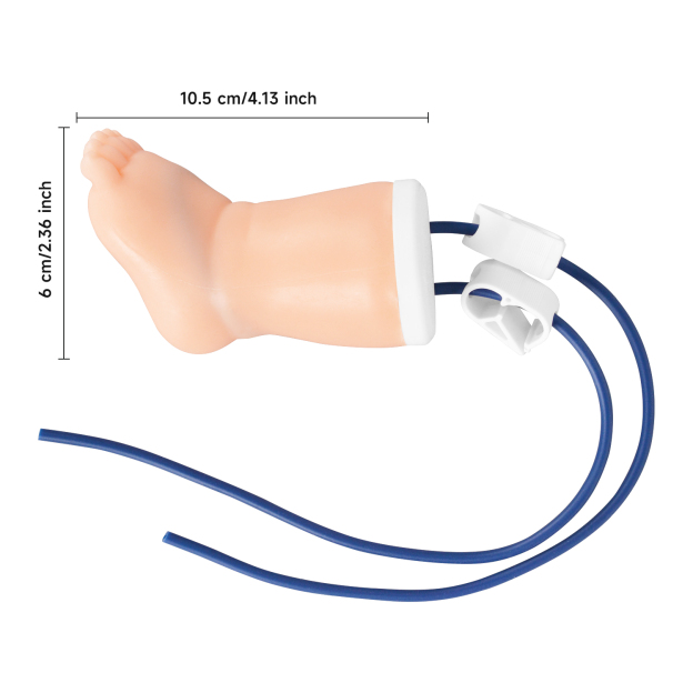 The Size Info of Infant Leg Model
